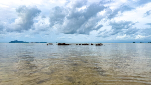 kohmak-race-beach-19