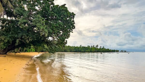 kohmak-race-beach-22