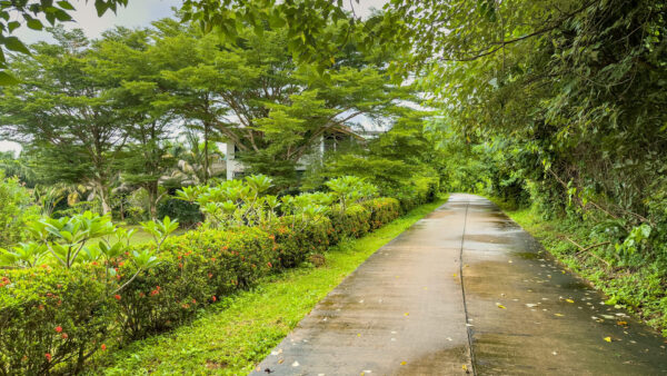 kohmak-race-course-25