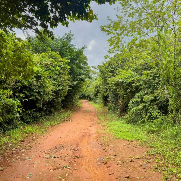 kohmak-race-course-31