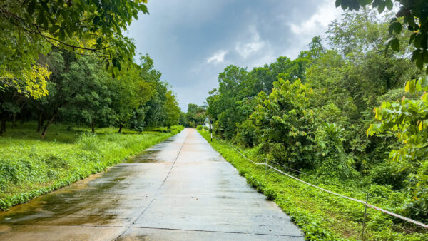kohmak-race-course-50