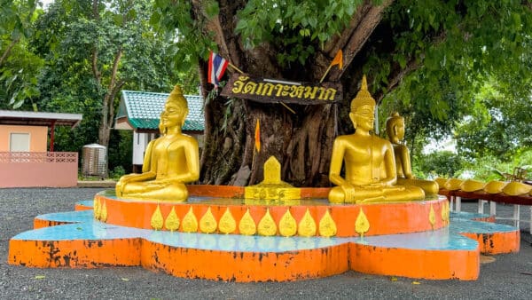 kohmak-race-temple-01